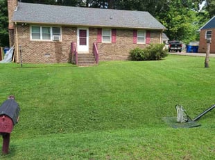 Deja B.'s lawn care service result