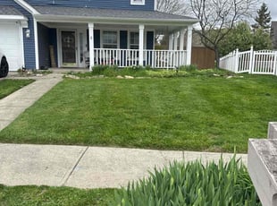 Toni c.'s grass maintenance service result