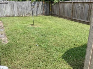 Jenny S.'s turf care service result