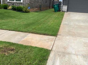 Sham A.'s lawn care service result
