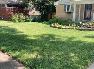 Teresa V.'s grass cutting service result