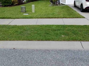 Queen H.'s turf maintenance service result