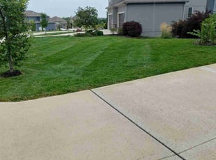 Jan D.'s grass cutting service result