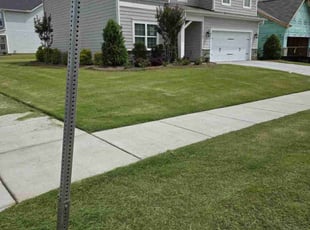 Dawn S.'s turf care service result