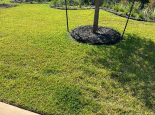 Wynter J.'s lawn service service result