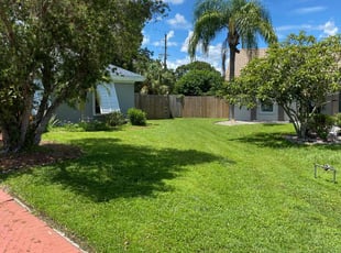 Sarah B.'s lawn service service result