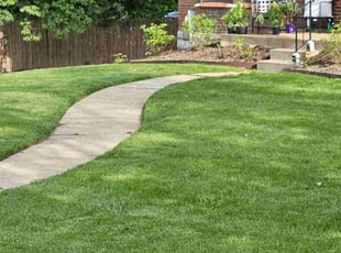 Darryl P.'s lawn maintenance service result