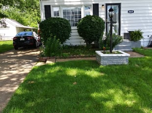 Urmela F.'s Bush Trimming service result