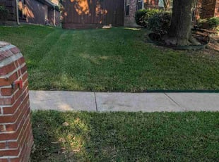 Tara T.'s grass maintenance service result