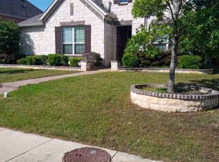Al S.'s turf maintenance service result