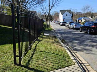 Francine D.'s turf care service result