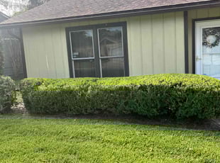 Brandon C.'s Bush Trimming service result