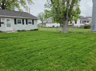 Kara R.'s lawn maintenance service result