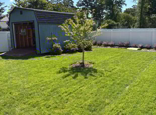 Jim K.'s lawn service service result
