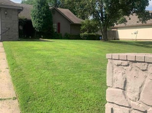 Julia S.'s landscaping service result