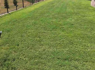 Jon R.'s lawn care service result