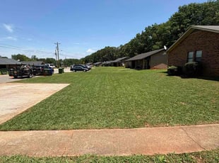 Dale K.'s turf care service result