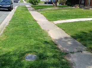 Diana S.'s lawn care service result
