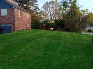 Lauren K.'s lawn service service result