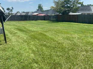 Colene F.'s lawn maintenance service result