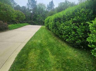 Timothy W.'s grass cutting service result