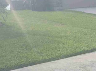 Tristan R.'s lawn service service result