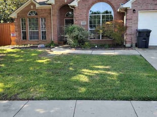 Darlene V.'s turf care service result