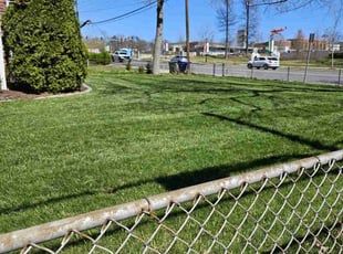 Carlos P.'s gardening service service result