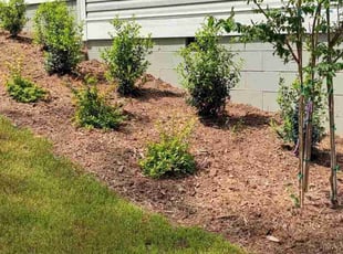 Patricia A.'s grass cutting service result