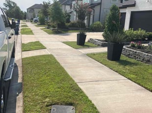 Salvador O.'s turf care service result
