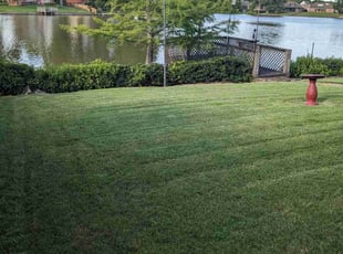 Katie B.'s grass maintenance service result