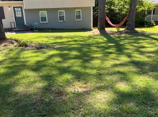 Carl H.'s grass maintenance service result