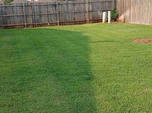 Ryan J.'s grass maintenance service result