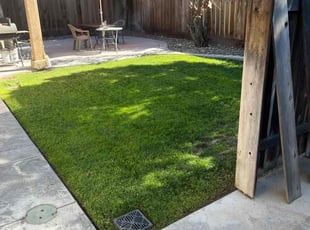 Margaret C.'s lawn care service result