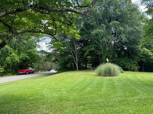 Kaylee B.'s Long Grass Cleanup service result