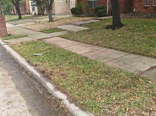 Monica I.'s grass cutting service result