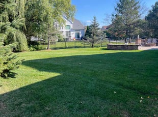 Annette B.'s grass maintenance service result