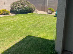 Jacqueline F.'s grass cutting service result