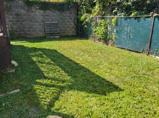Angela M.'s grass cutting service result