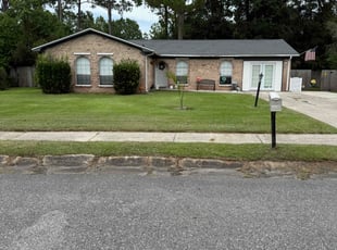 Tami J.'s turf care service result