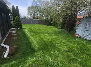 Mike B.'s lawn service service result