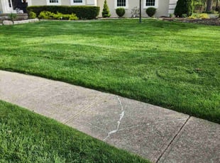 Kathy K.'s turf care service result