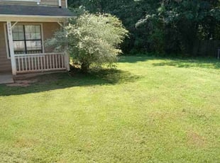 Dangzhu G.'s Tree Trimming service result