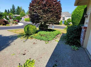 Ryan H.'s Bush Trimming service result