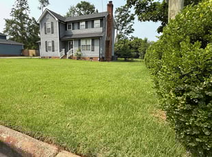 Sandra R.'s grass cutting service result