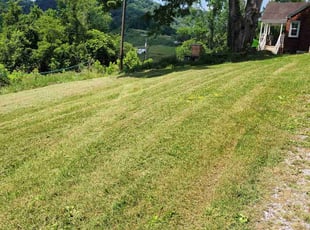 Linda C.'s grass maintenance service result