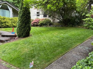 Shirley C.'s lawn care services service result