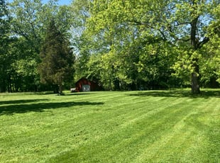 Gabriella A.'s turf maintenance service result