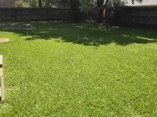 Rhiannon M.'s grass maintenance service result