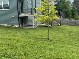 Matt C.'s landscape maintenance service result